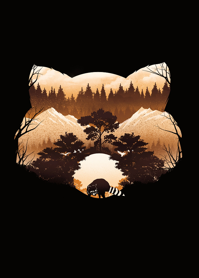 Raccoon Sunset