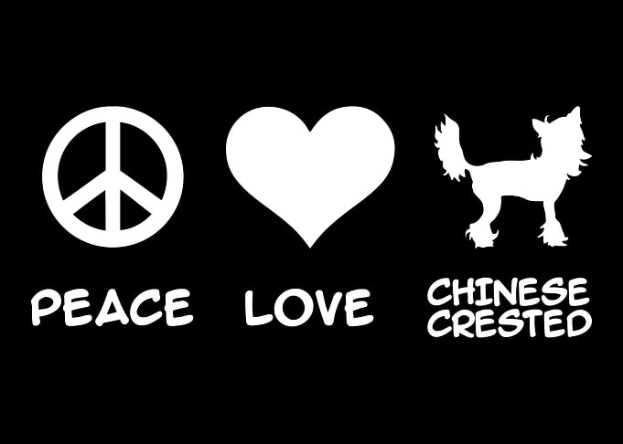 Chinese Crested