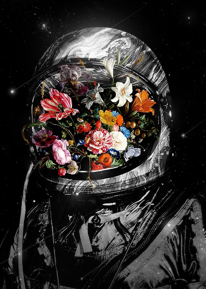Bloom II
