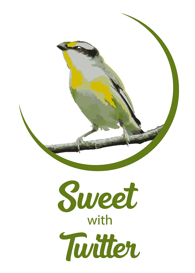 sweet bird with twitter