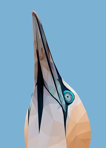 Bird Orange Fur Lowpoly