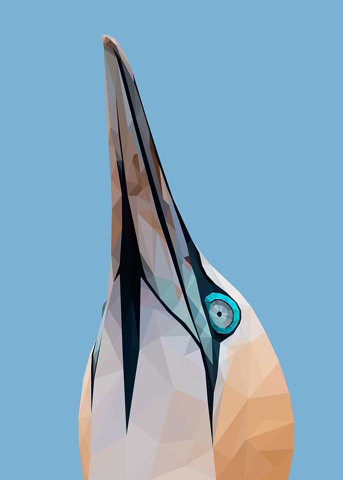 Bird Orange Fur Lowpoly