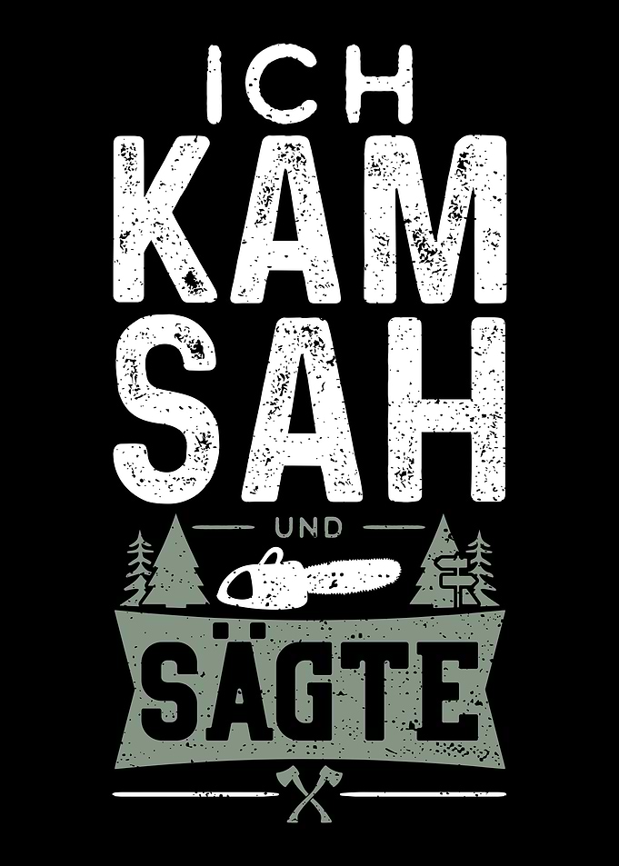 Ich Kam Sah Und Sgte