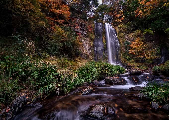 Nature