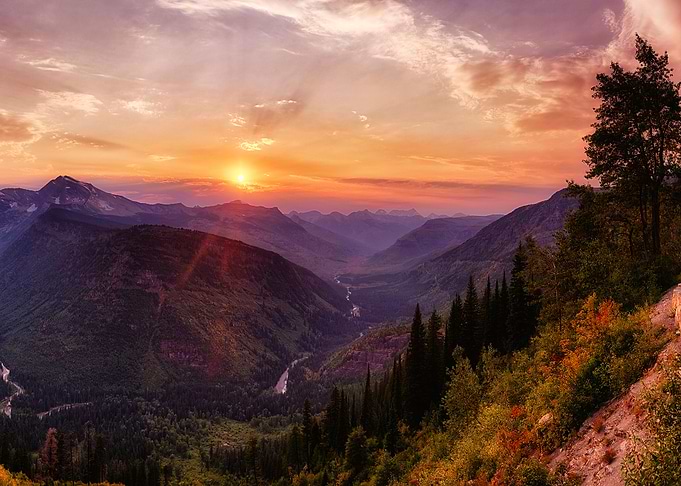Nature