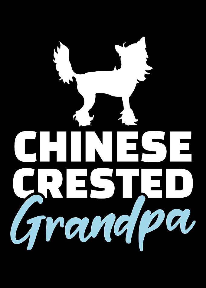 Chinese Crested