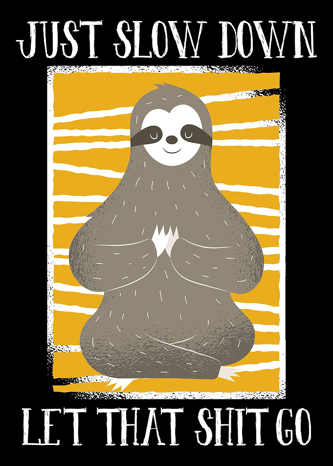 Just Slow Down Sloth