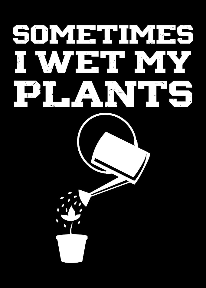 Sometimes I wet my plants