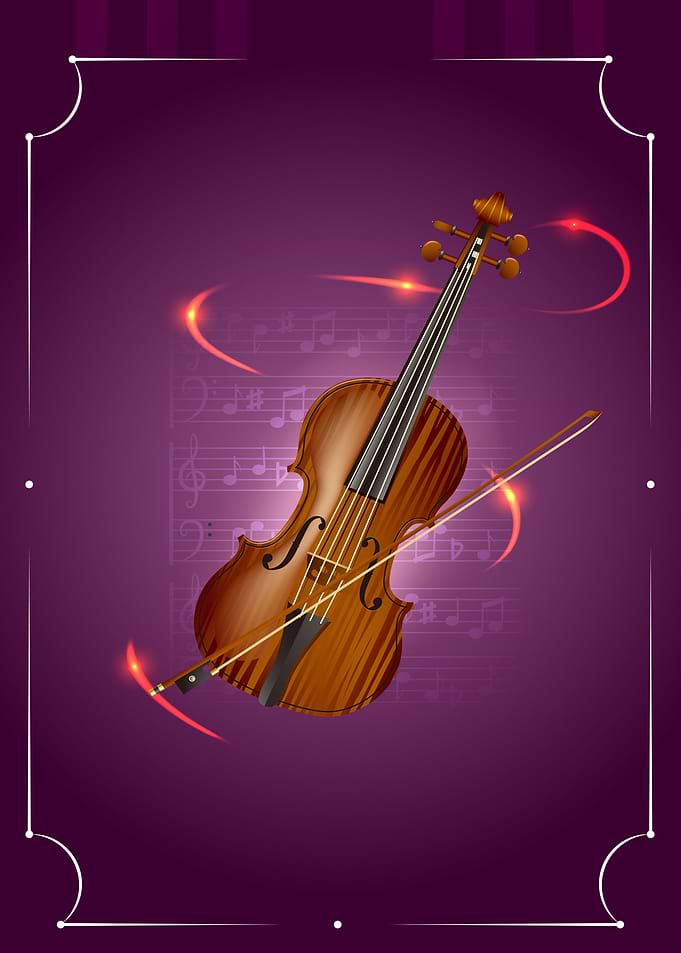 Violin musical instrument