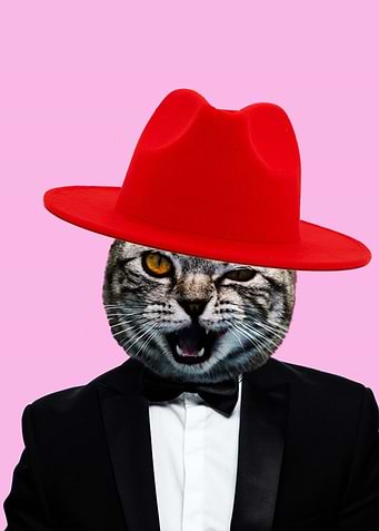 Cute Funny Cat Lover Quote