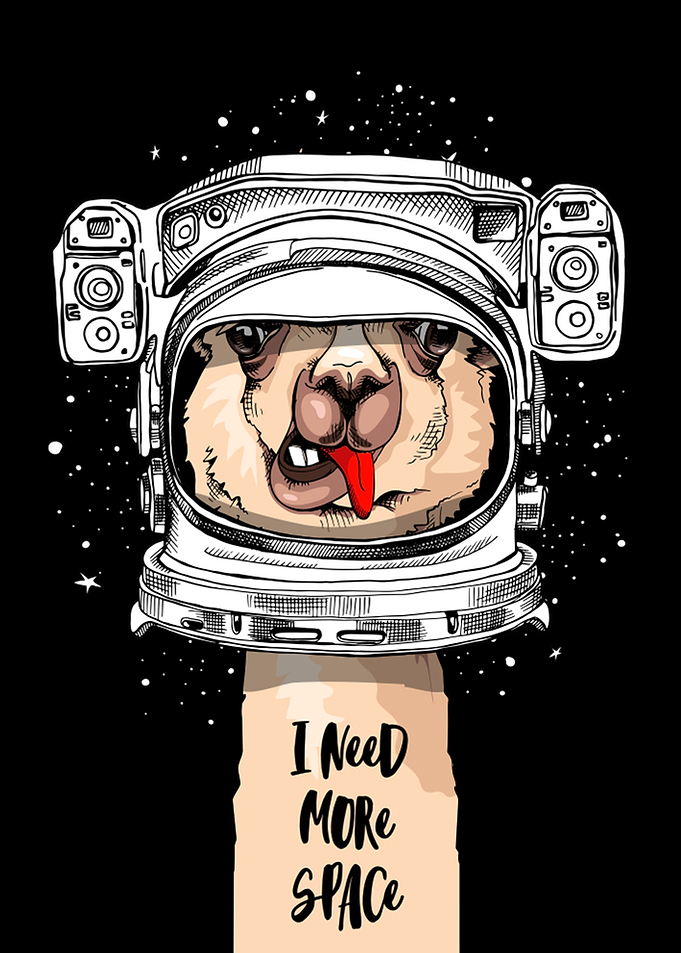 Cute Fun Llama Love Quote