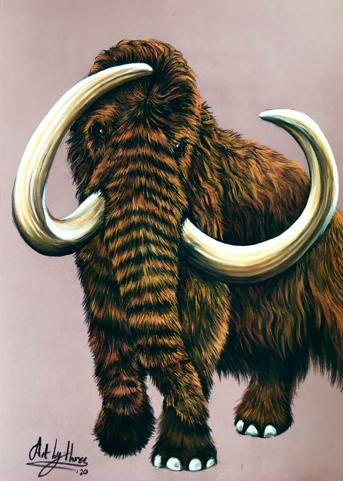 Woolly Mammoth