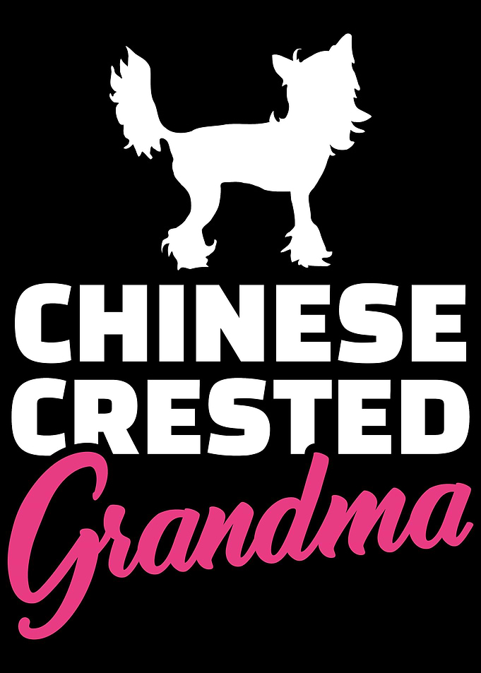 Chinese Crested