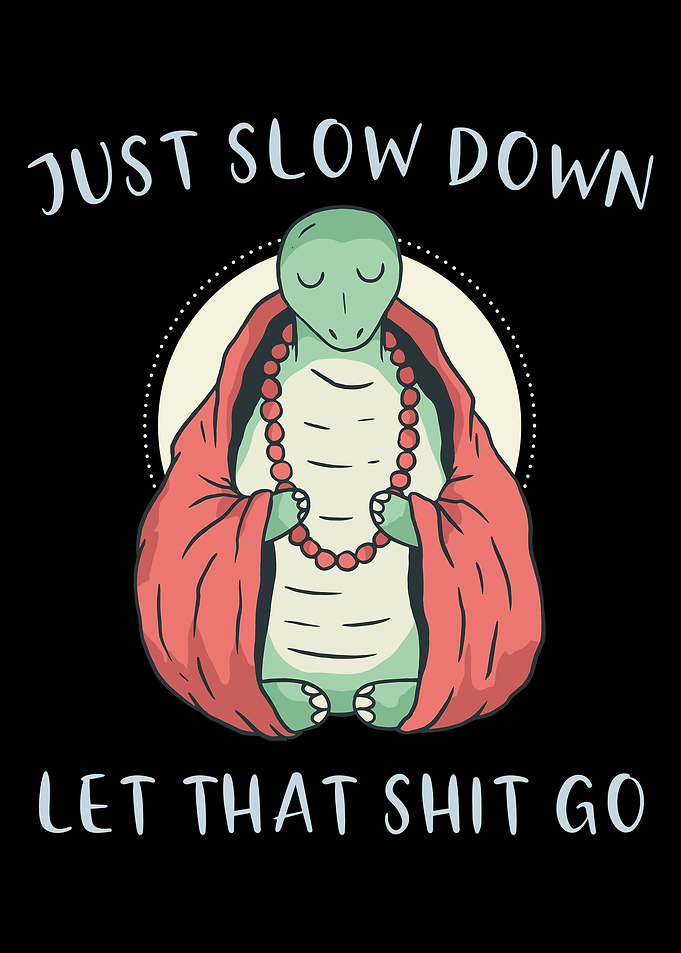 Just Slow Down Turtle