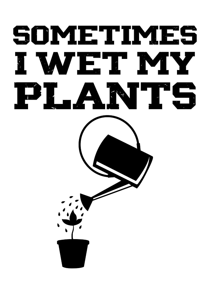 Sometimes I wet my plants