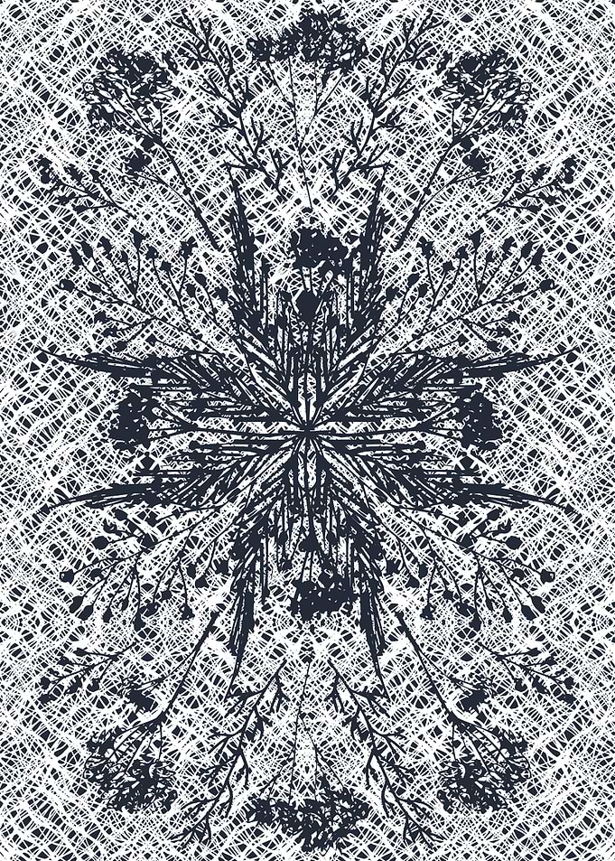Lace Symmetry