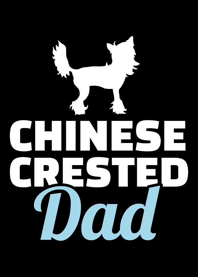 Chinese Crested