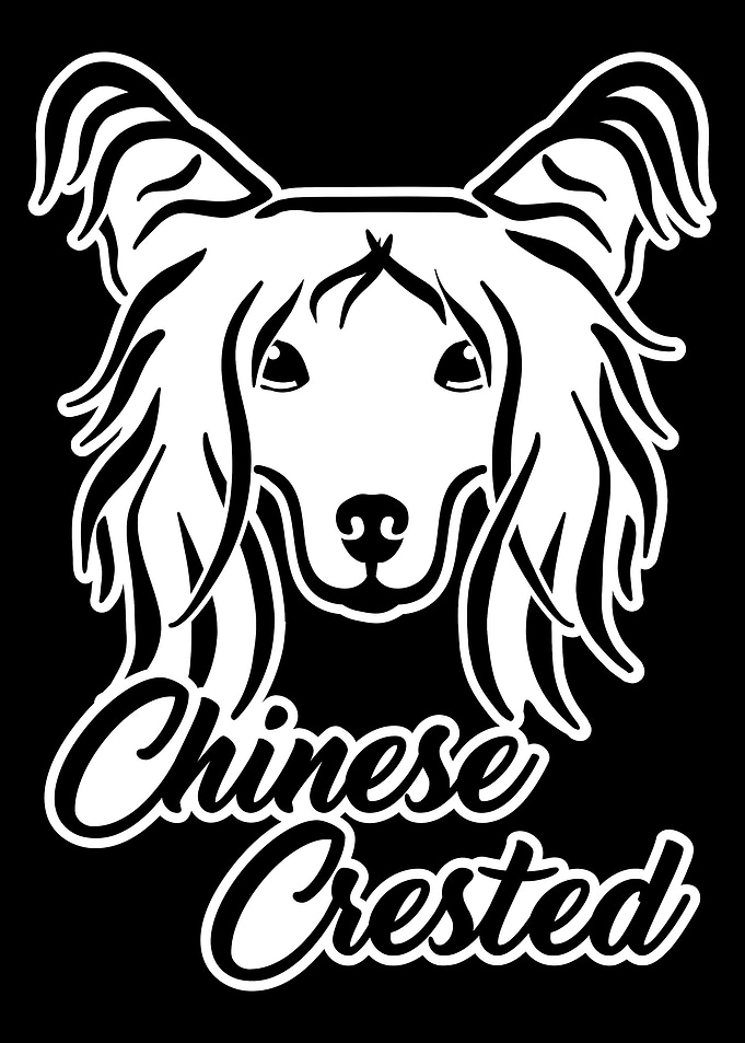 Chinese Crested