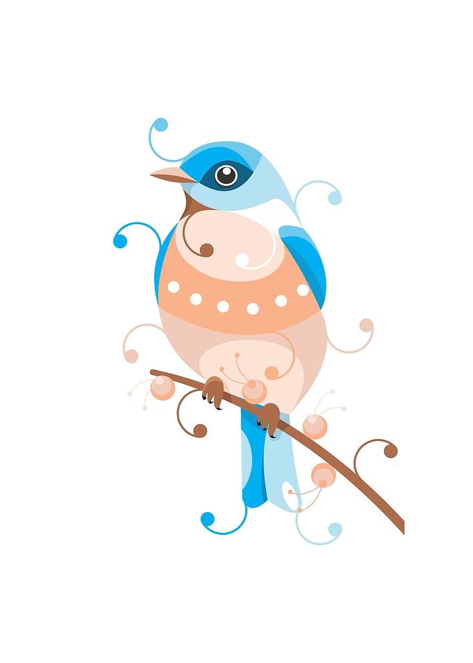 bluebird