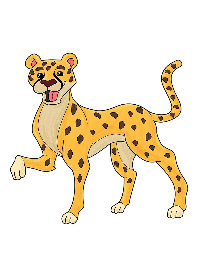 Leopard Animal Lover Safar