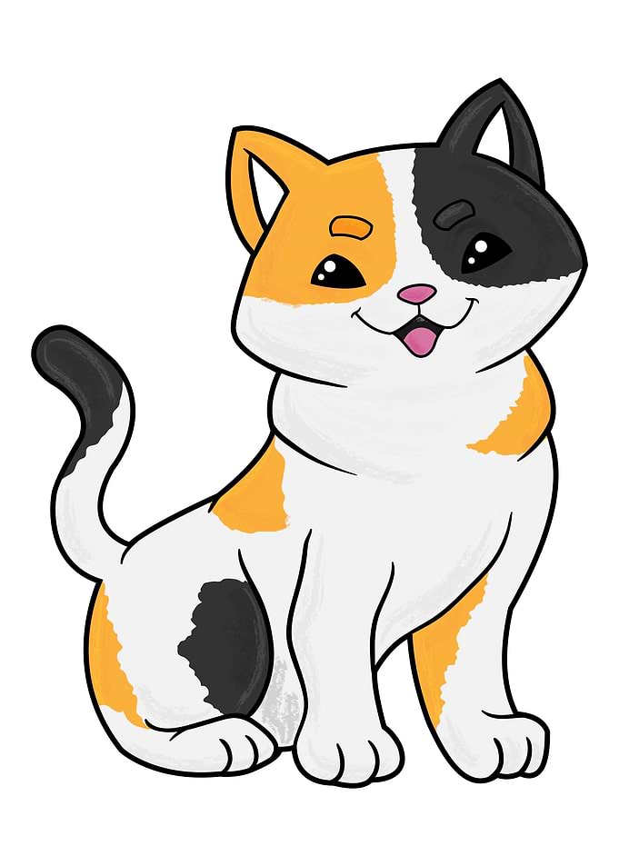 Cats Catlover Animal Welfa