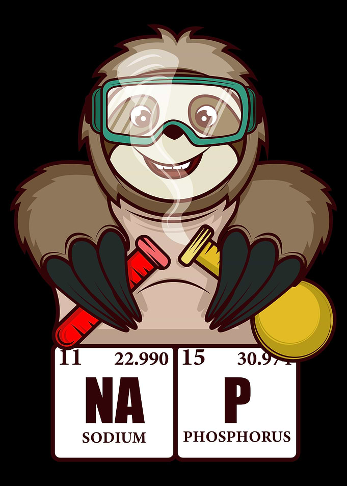 Sloth Science Nap Scientis