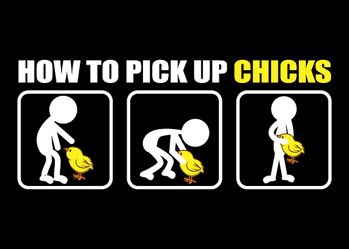 How to pick up chicks Sarc