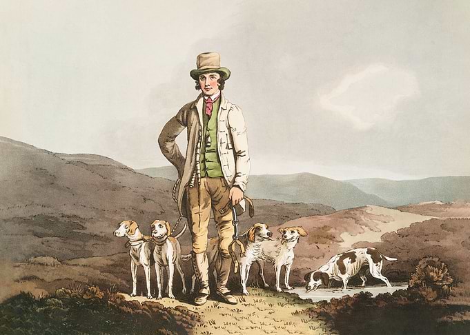 the dog breaker
