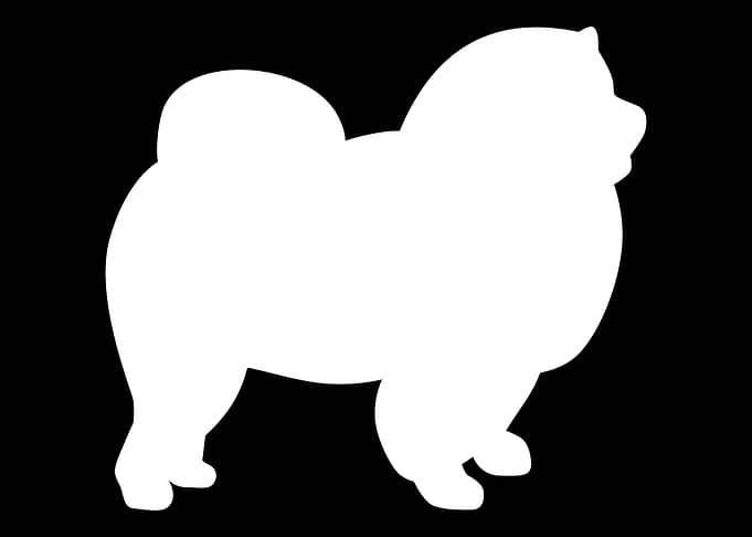 ChowChow