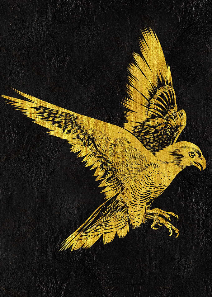 Golden Hawk
