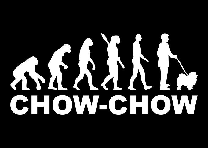 ChowChow