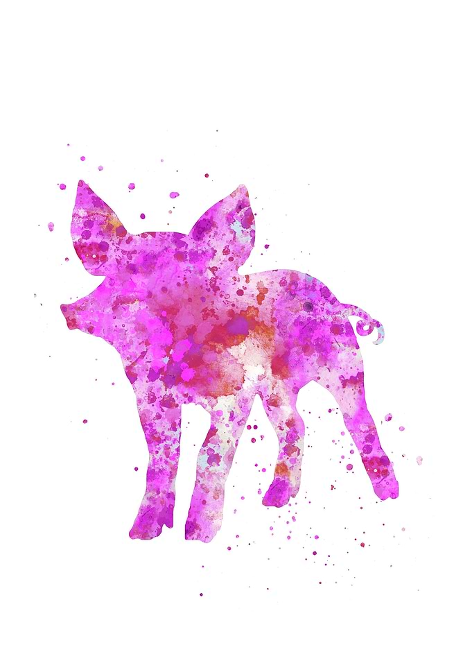 Pig