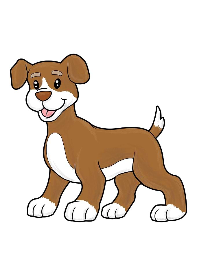 Dogs Animal Lover Animal W