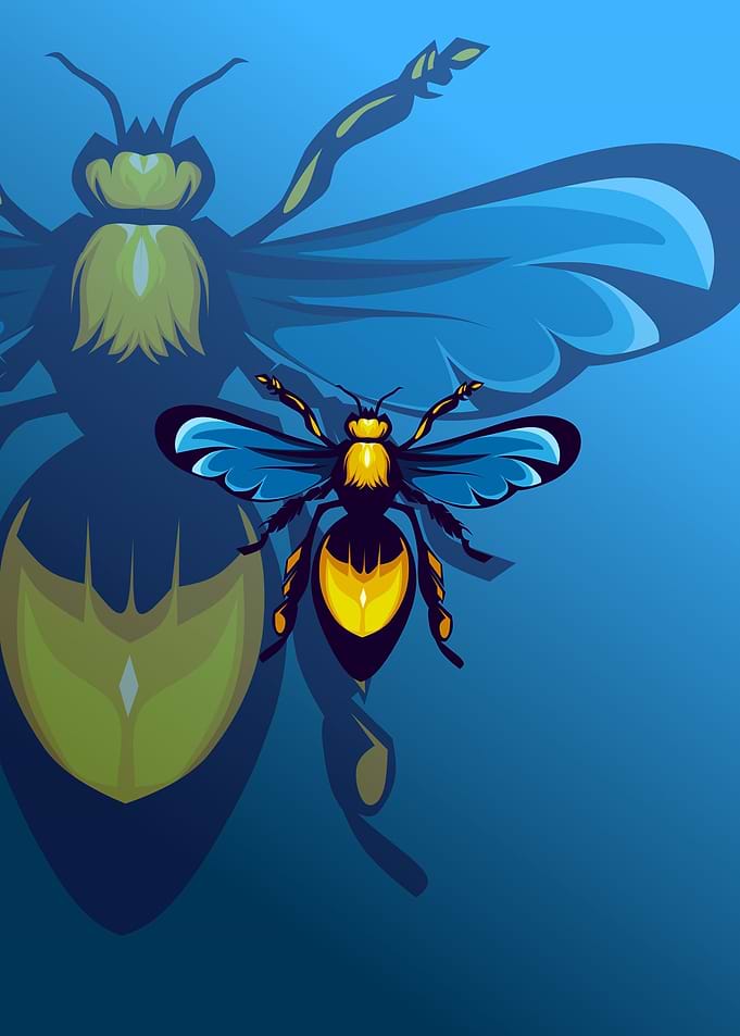 Bee illustration