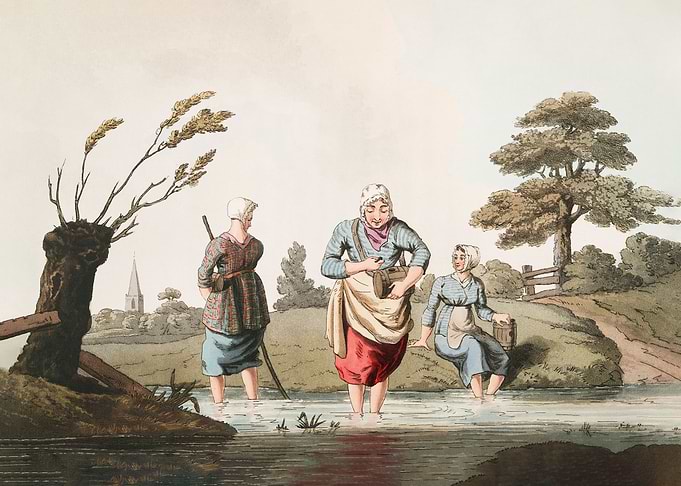 leech finders