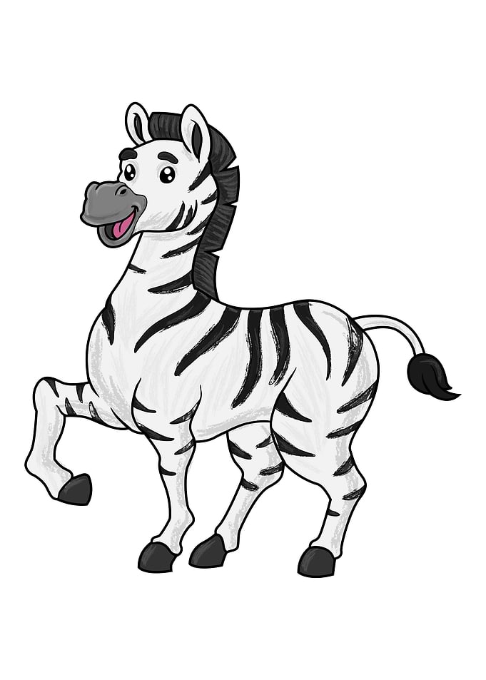 Zebra Animal Lover Safari