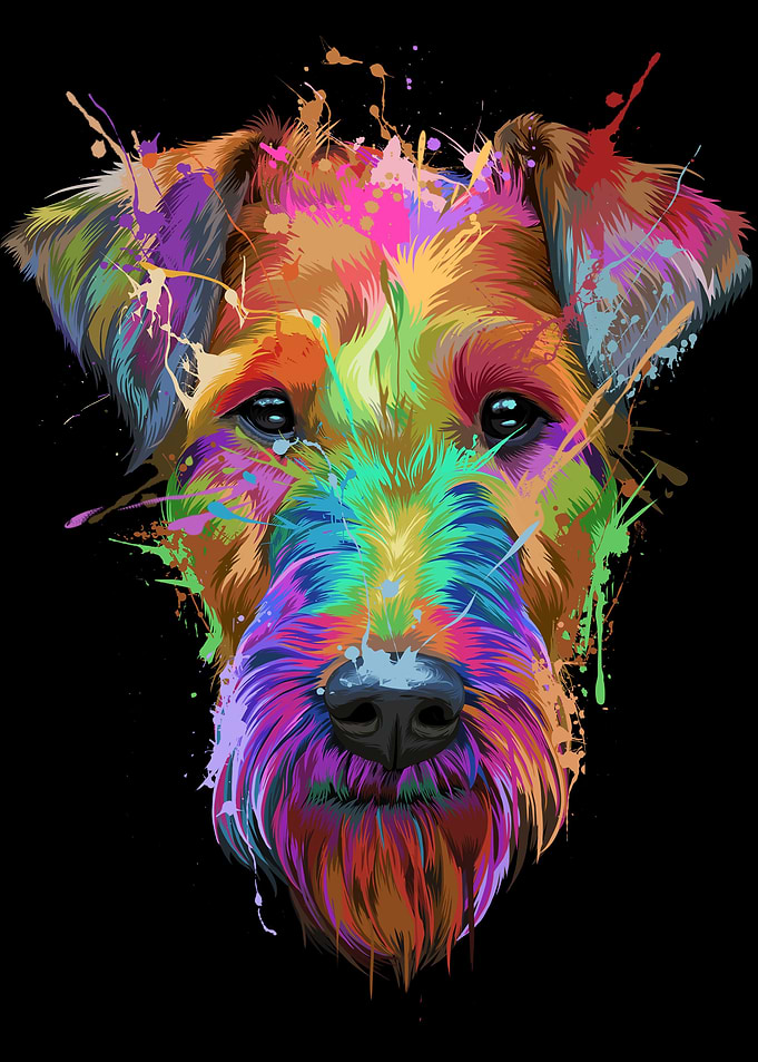 Airedale Terrier Splash