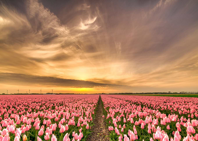 Nature