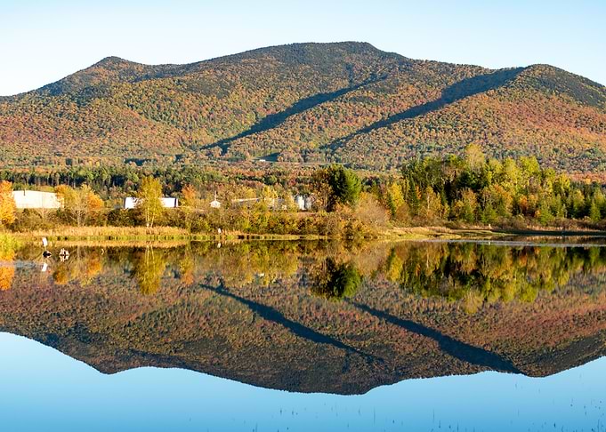 Reflections Of Color