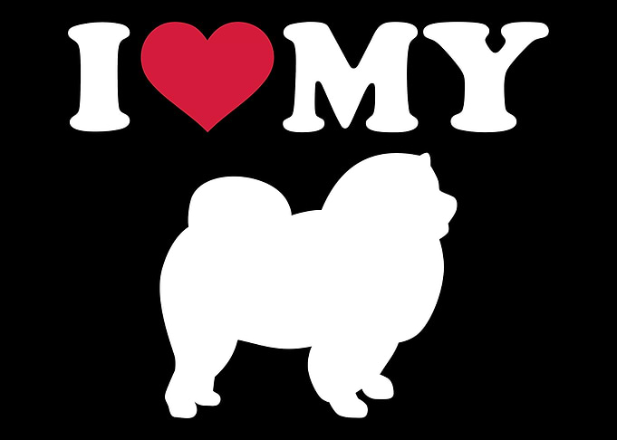 ChowChow
