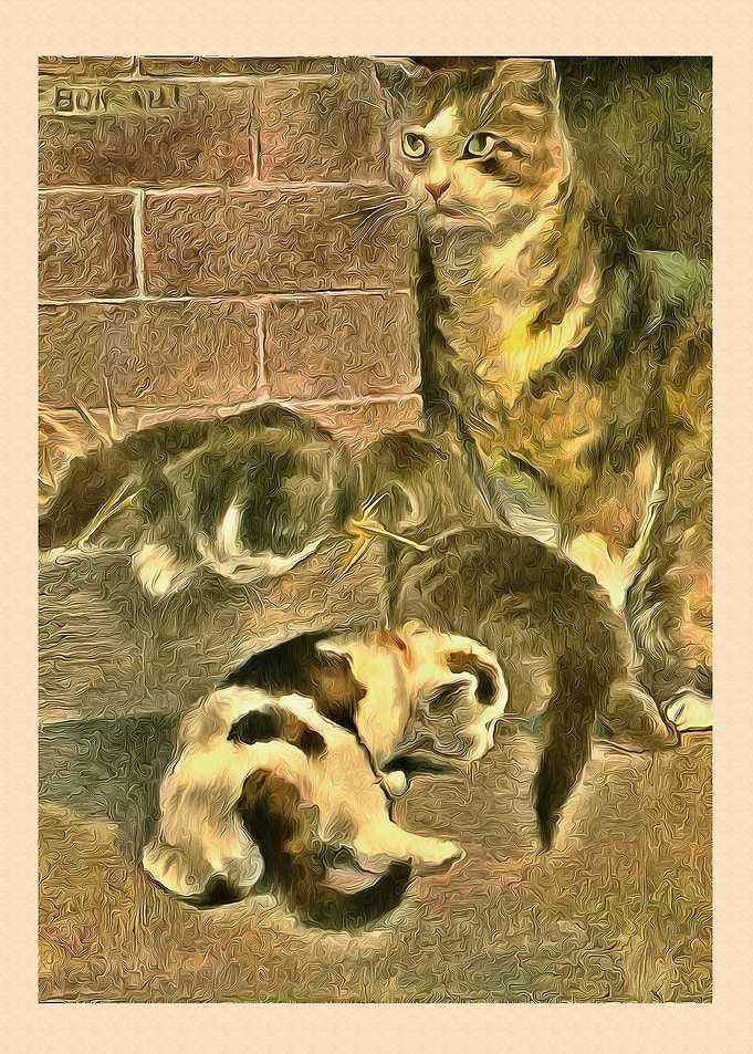 Vintage Cat Art Picture