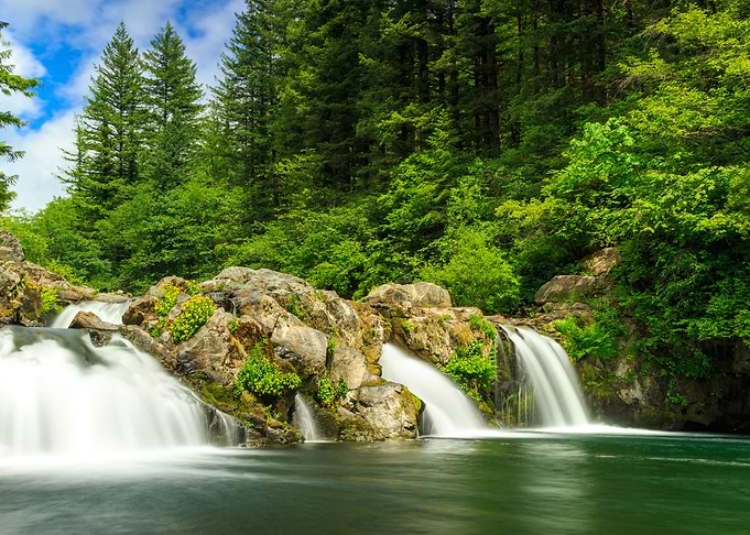 Nature