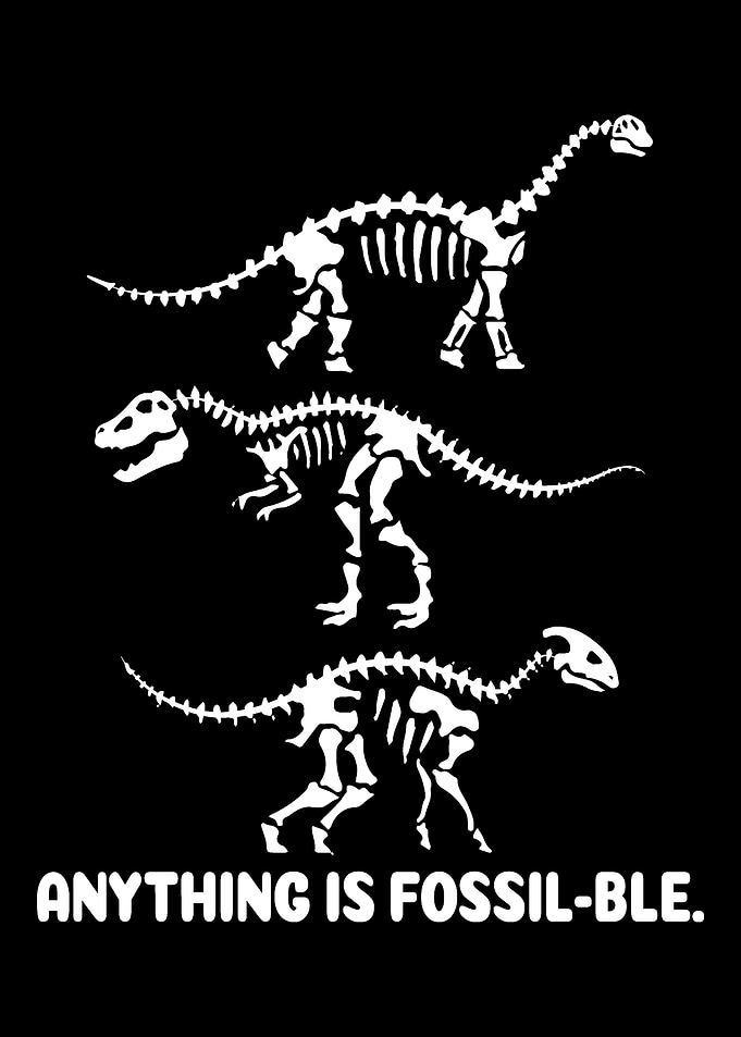 Anything is fossilble Ins
