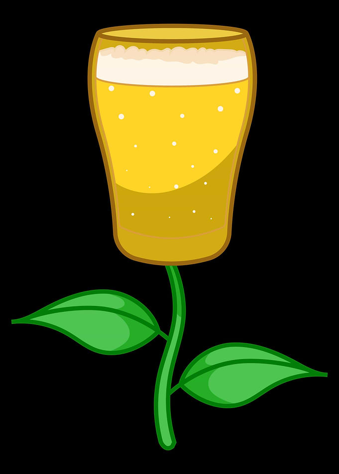 Beer Tulip Craft Beer