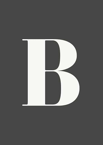 Grey Letter B Print