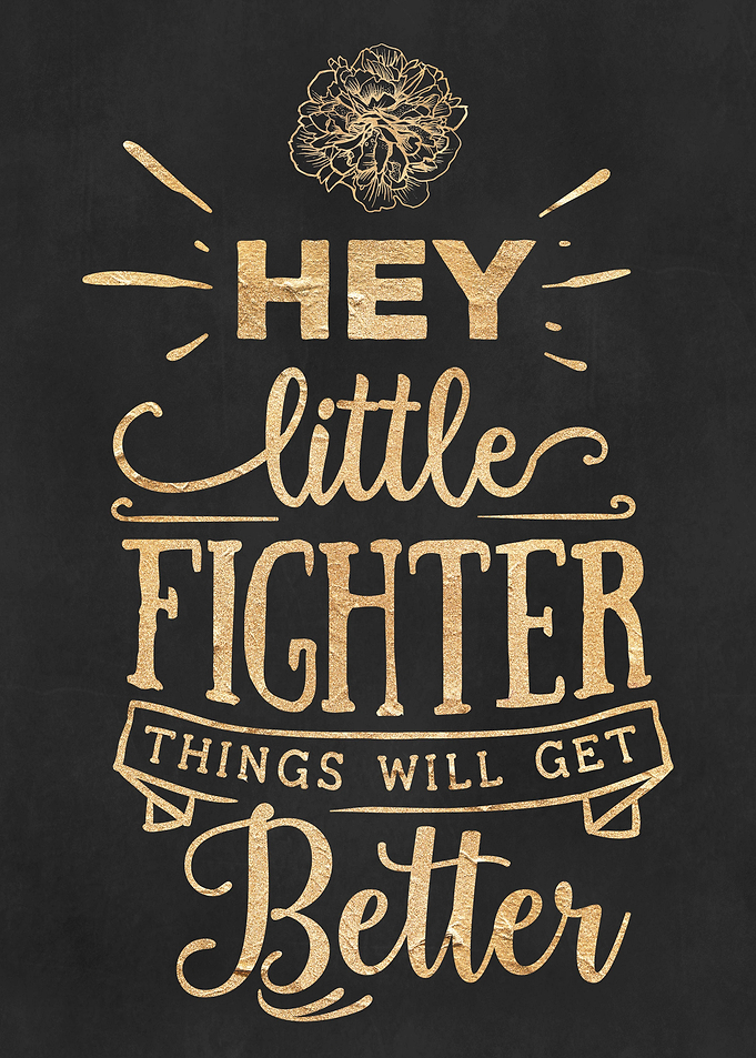 Little Fighter