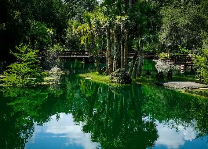 Nature