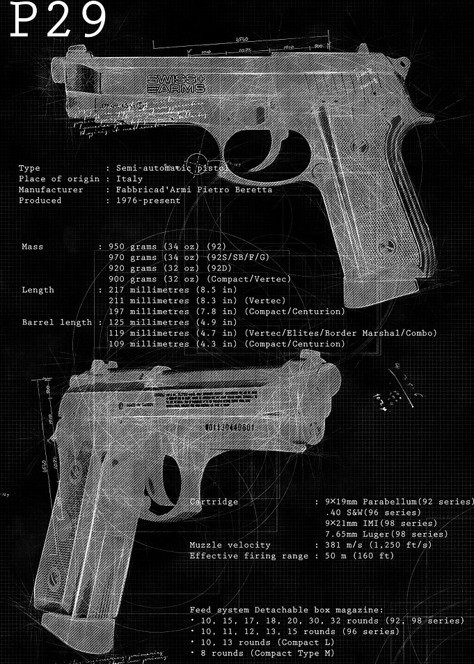 P29