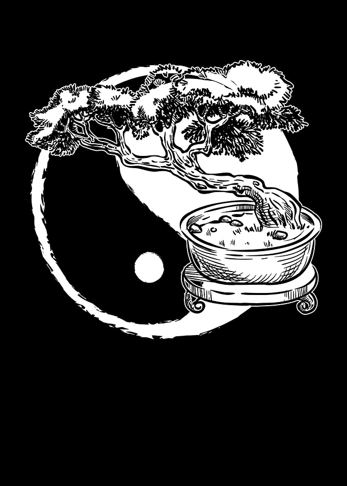 Bonsai Ying Yang Tree Zen