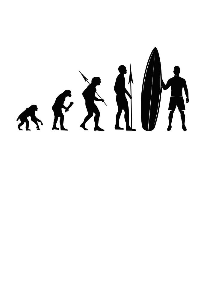 Surfer Evolution Surfing
